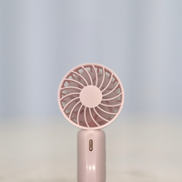 Mini Lash Fan