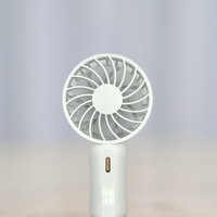 Mini Lash Fan