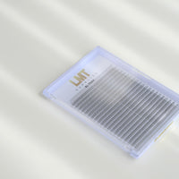 3D XXL Lash Tray