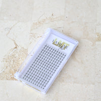 Lash Tray 5D