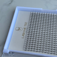 4D XL Lash Trays