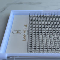 4D XL Lash Trays