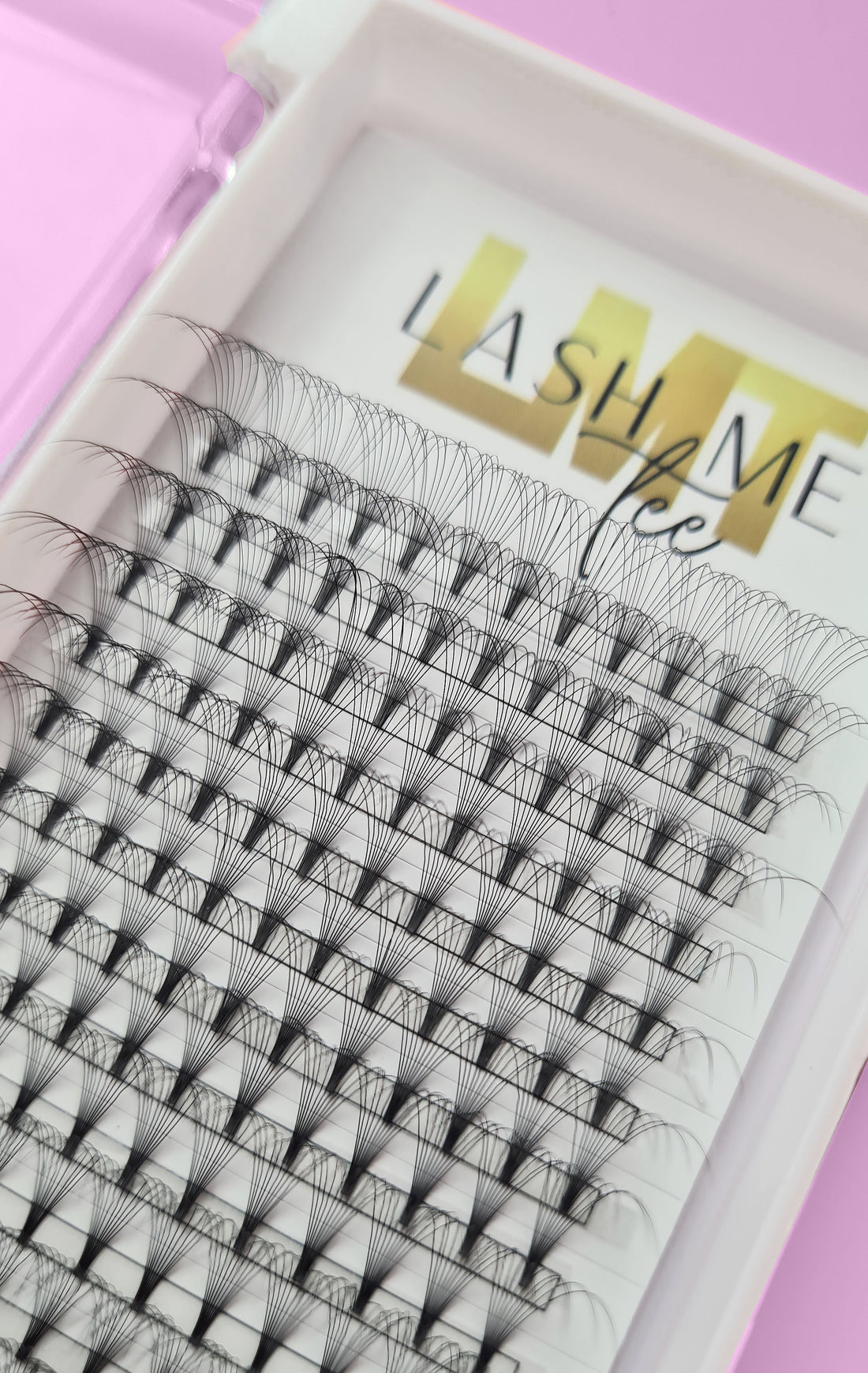 Lash Tray 10D