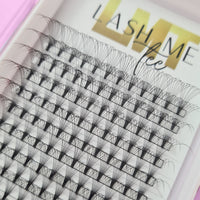 Lash Tray 10D