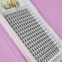 Lash Tray 10D