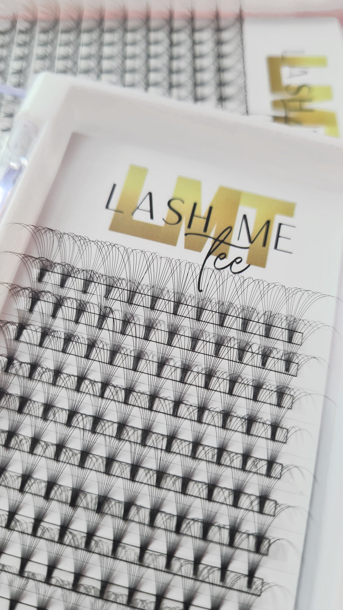 Lash Tray 10D