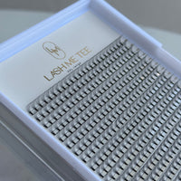 10D XL Lash Trays