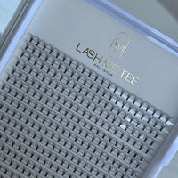 5D XL Lash Trays