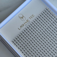 5D XL Lash Trays